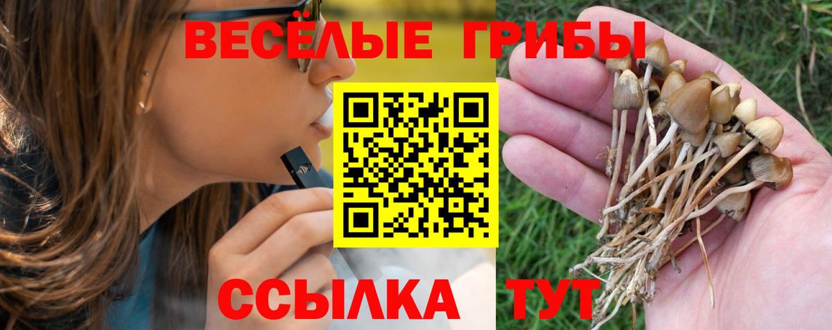 Галлюциногенные грибы Magic Shrooms Снежинск