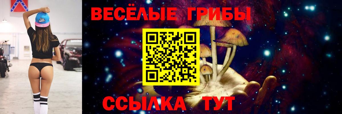 Снежинск  Псилоцибиновые грибы Magic Shrooms  Вход с VPN 